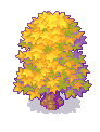 autumn tree